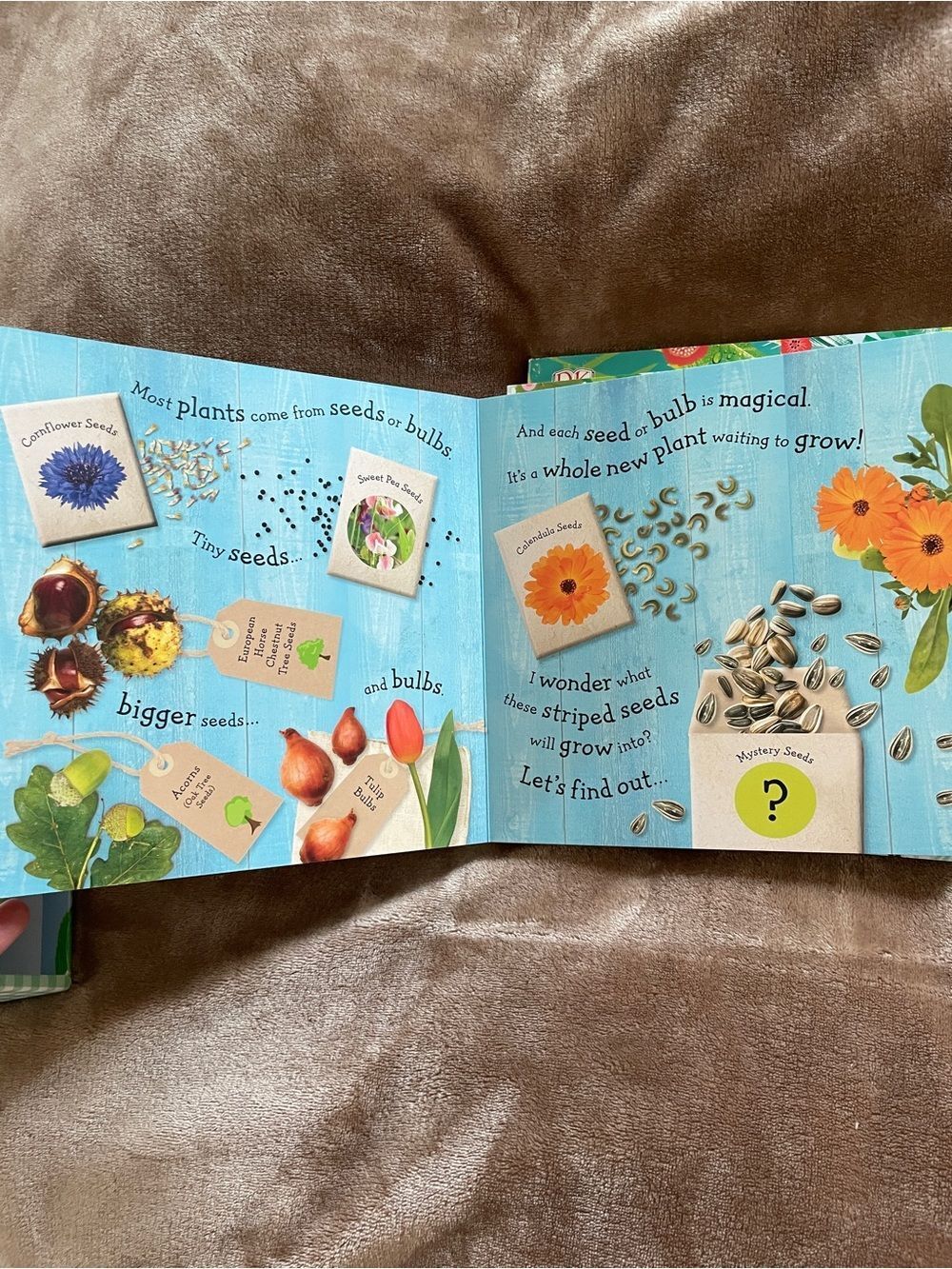 DK Kids Books Watch Me Grow Collection Nature Exploration Lifecycle Early Reader - Picture 4 of 13